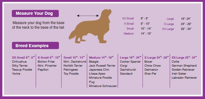 Irish Setter Size Chart